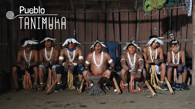Tanimuka